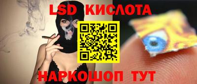 гашик Новозыбков
