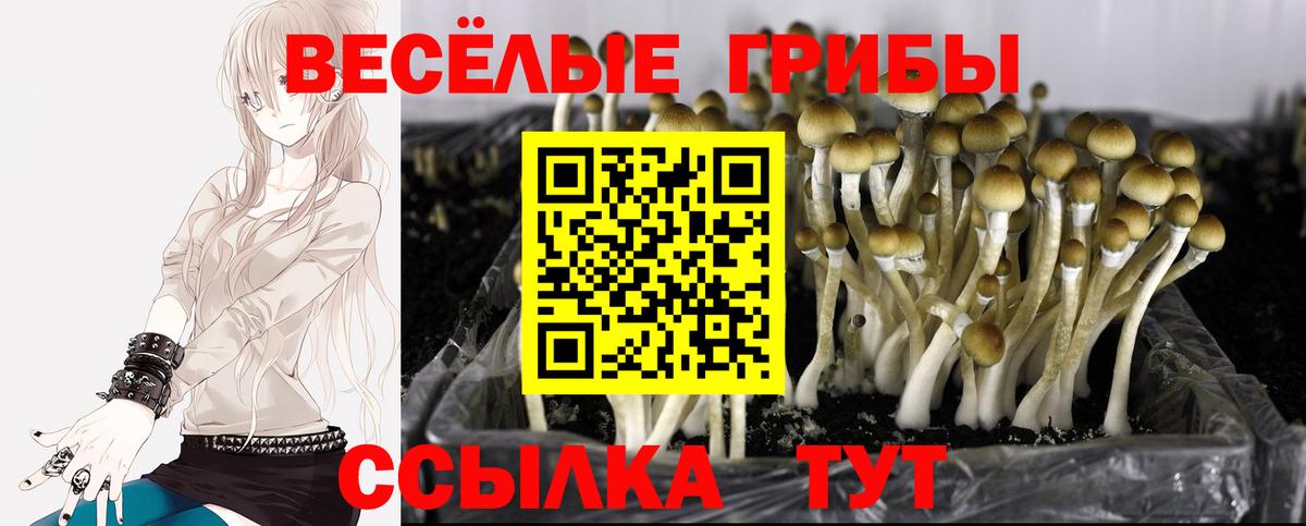 Усолье-Сибирское  Псилоцибиновые грибы Magic Shrooms  Вход с VPN  Галлюциногенные грибы Magic Shrooms 